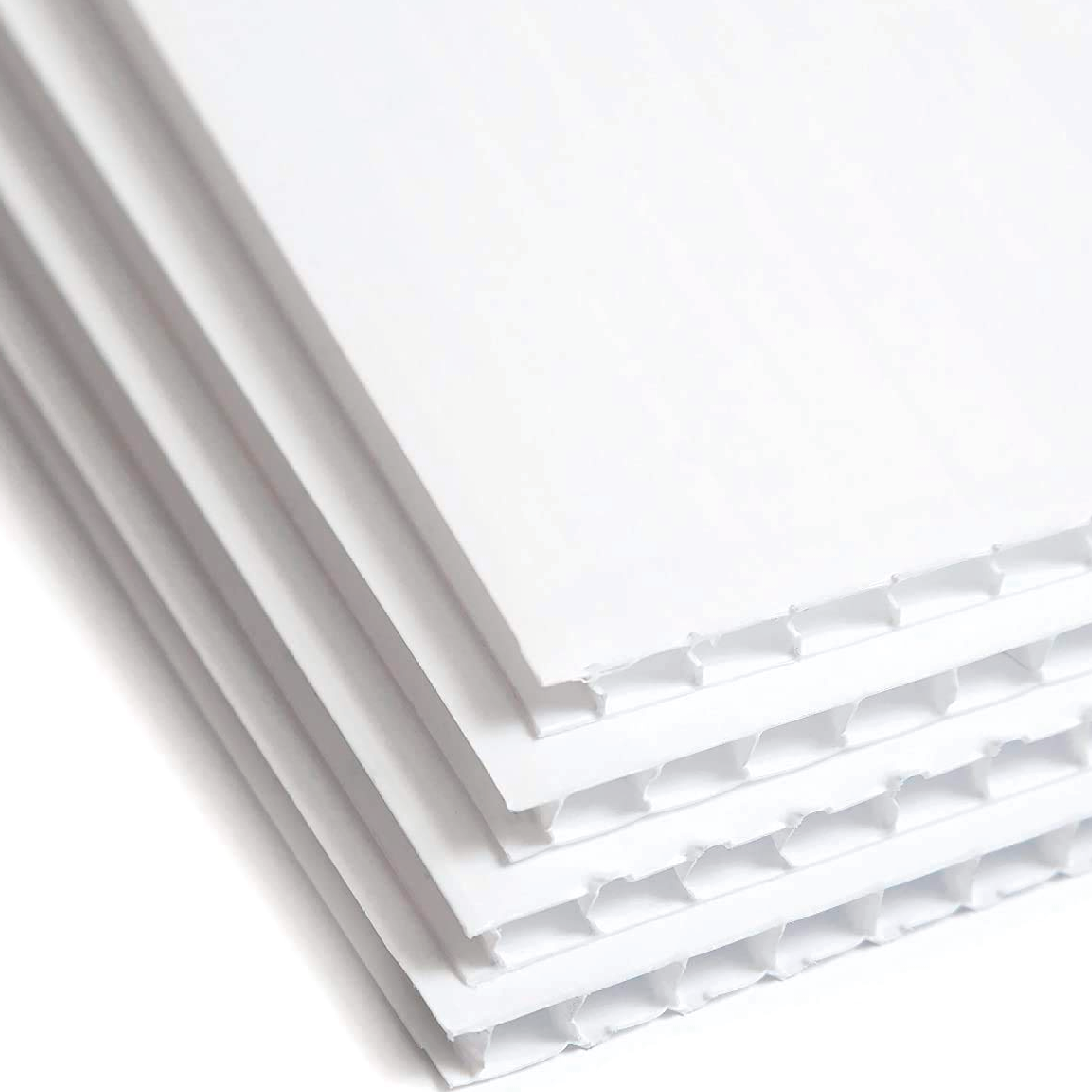 Correx Board Printing