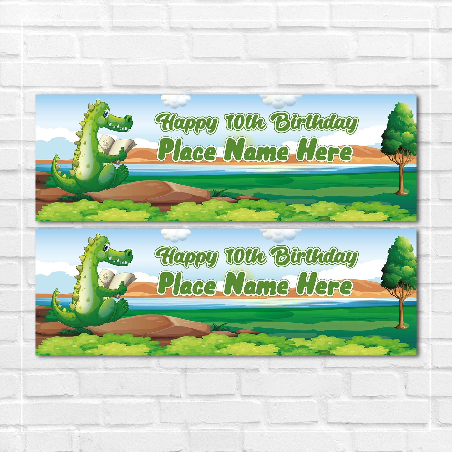 Set of 2 Personalised Birthday Banners - 16th 18th 21st 30th 40th 50th Birthday Party - Celebration - Occasion BBAN-0480